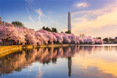 Washington Monument im Frühling